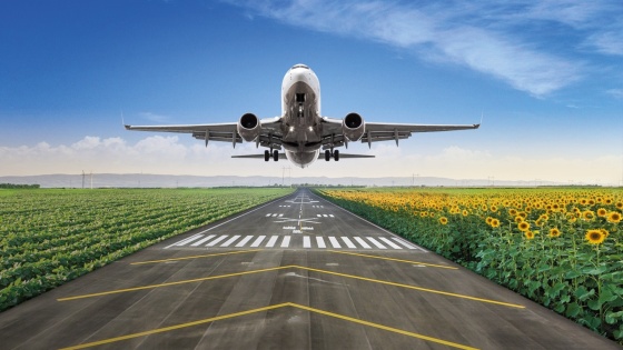 Стажування в компанії BASF – зліт твоєї кар’єри!