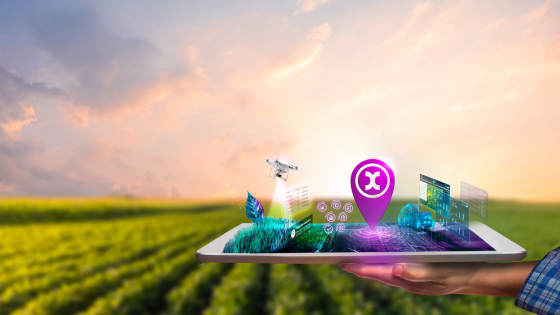 Офіційні дистриб'ютори цифрової платформи xarvio® FIELD MANAGER