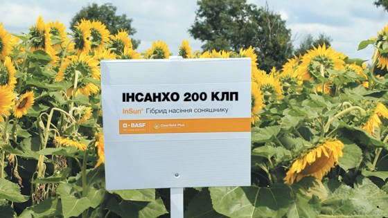 ІНСАНХО 200 КЛП