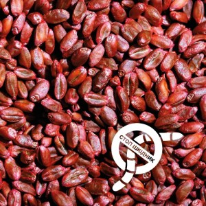 Пошук по продуктах - Product-search
